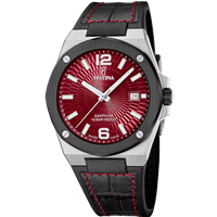 Montre Festina Homme VALLE'E in Acier F22001/5